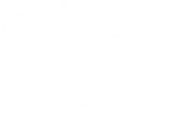 Logo de Bombonela Xalapa